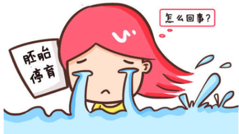 试管婴儿胚胎移植后出现停育具体原因有哪些?