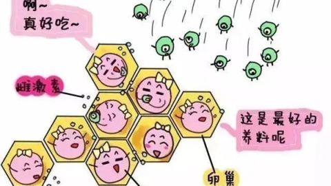 高龄试管婴儿，你关心的问题有这些