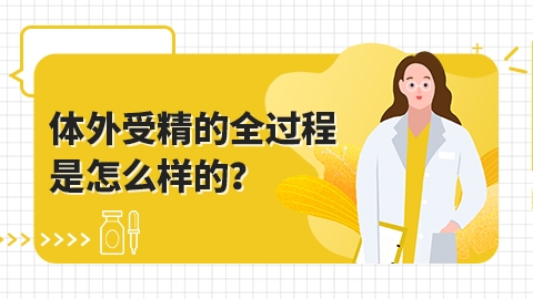 体外受精的全过程是怎么样的？