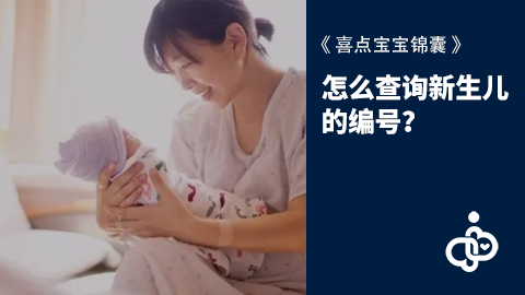 怎么查询新生儿的编号？
