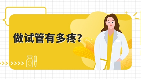 做试管有多疼？