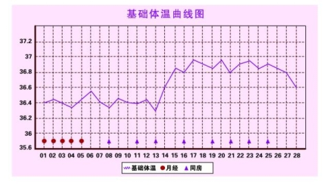 女性基础体温是多少？排卵时体温又是多少？你如何来界定