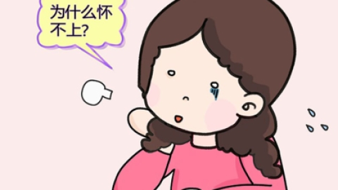 促黄体生成素(LH)测定