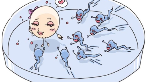 【单纯疱疹】单纯疱疹病毒
