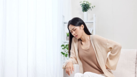 雌二醇_药学_医药卫生_专业资料