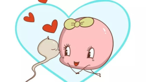 催乳激素高是什么原因引起的