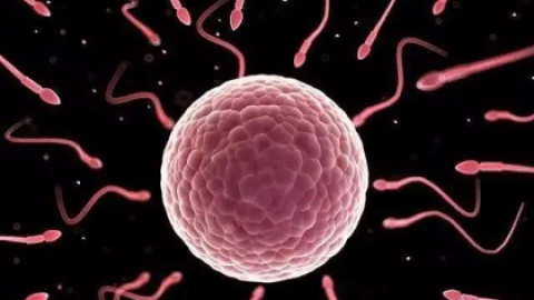 子宫内膜厚度是多少更容易怀孕 子宫内膜过厚如何治疗