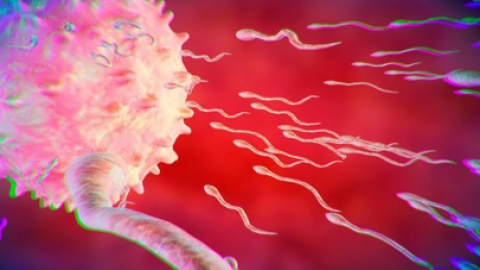 女性雌激素水平低怎么办