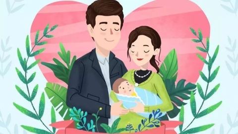 窦卵泡计数怎么查