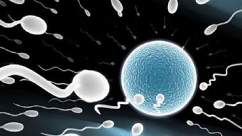 孕妇可以吃玉米吗 这种玉米孕妇要小心食用