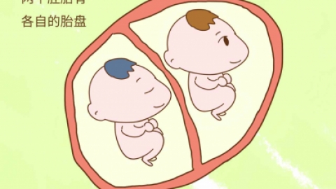 如何生双胞胎