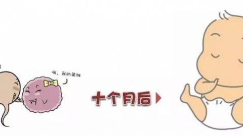 多胎妊娠跟什么有关
