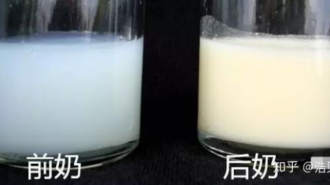 奶水稀怎么办奶水少的原因