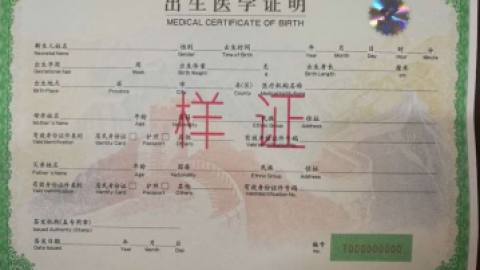 出生证明可人脸识别线上办理，材料不齐问题一键解决