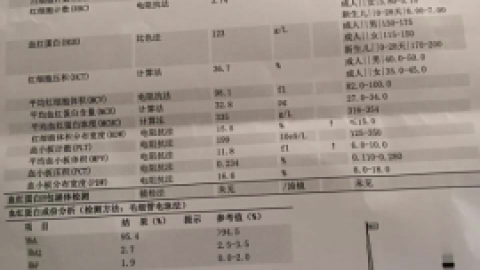 地中海贫血是什么_医药卫生_专业资料