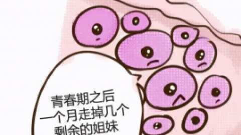 麦肯锡健康|科普格鲁吉亚试管婴儿的窦卵泡计数（AFC）知多少？