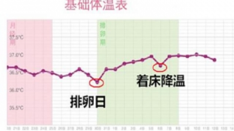 标准的着床降温