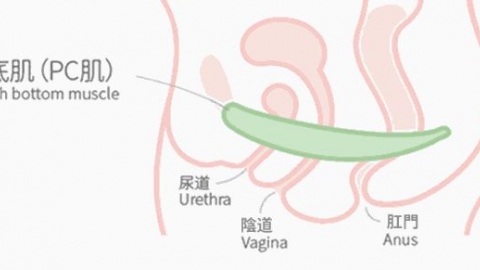 关于盆底肌修复，有哪些必须要知道的真相？