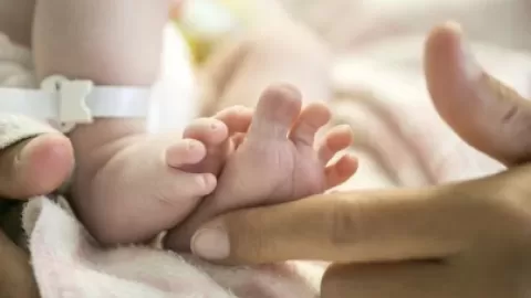 中国辅助生殖技术世界一流，为何国人还纷纷去国外生娃？