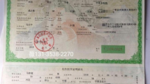 出生证补办流程指南