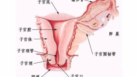 着床降温是着床前还是着床后