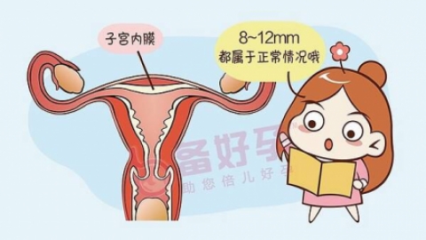 子宫内膜厚度