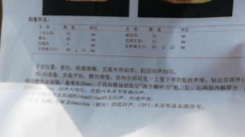 海外第三代试管婴儿宫腔环境怎么检查?