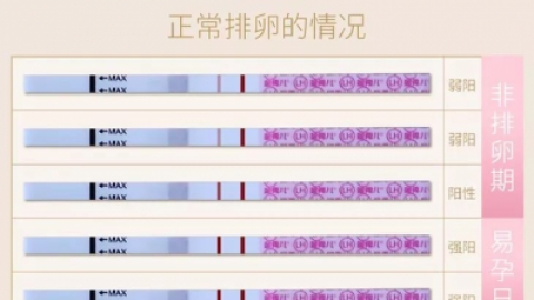 排卵试纸强阳什么时候同房最佳