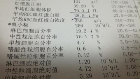 地中海贫血