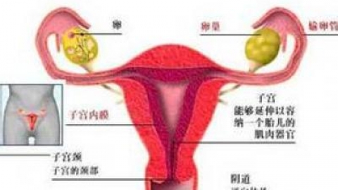 子宫内膜厚度多少正常