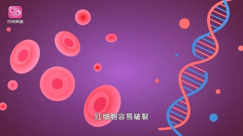 地中海贫血的症状表现 地中海贫血吃什么好