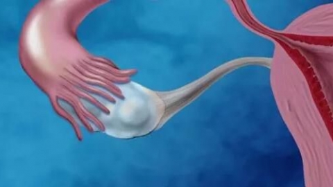 子宫内膜厚度多少正常？不同时期是有差别的
