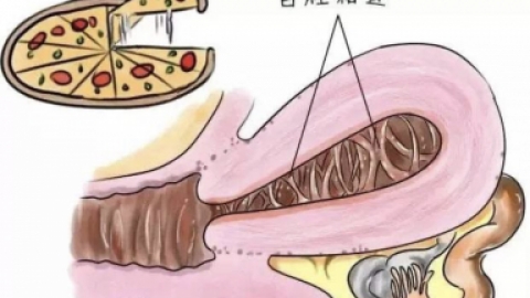 > 宫腔粘连手术后如何防止复粘