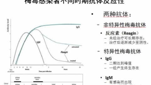 梅毒的实验室检测方法