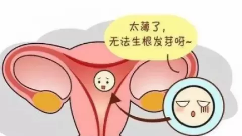 子宫内膜薄能不能生孩子？子宫内膜薄的4大诱因要谨防！