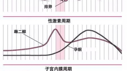 黄体素浓度不够
