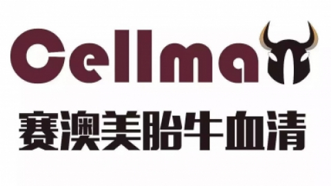 nk细胞 NK细胞的作用有多重要？让事实告诉大家！