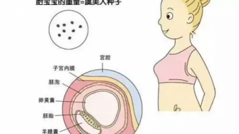 不看后悔！子宫内膜厚度多少才适合怀孕？