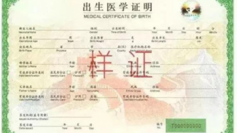 办理出生证明需要什么证件