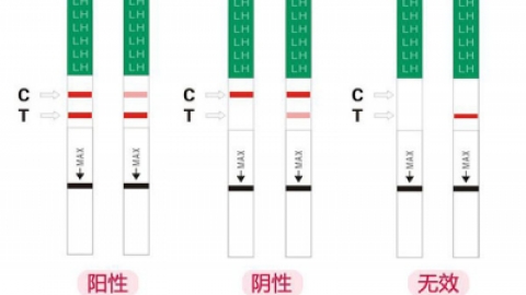 从排卵试纸强阳和弱阳的对照图片 判断排卵的具体时间