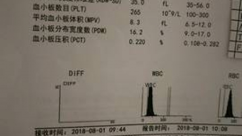 浅谈地中海贫血症