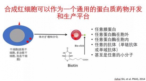 新药研发20年 史家海：红细胞技术如何接轨基因治疗等