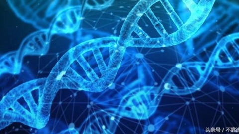 什么是辅助生殖技术?辅助生殖技术的出现有什么意义