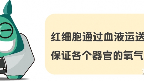 血常规——读懂红细胞计数！