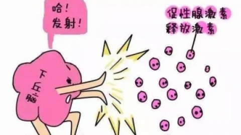 卵泡长不大排卵试纸可以测出强阳吗