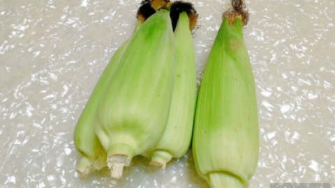 孕妇能喝玉米糁吗，玉米糁有什么功效与作用