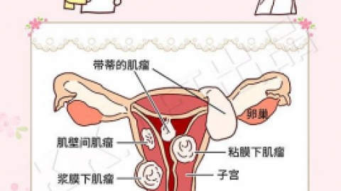 宫腔镜检查_基础医学_医药卫生_专业资料