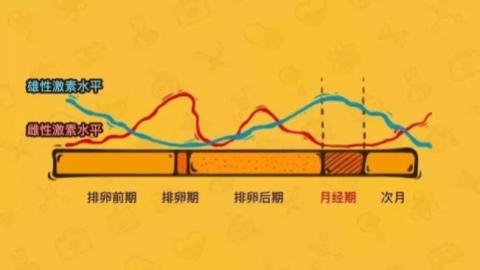 正常人子宫内膜多厚为正常更新时间:2018-07-17