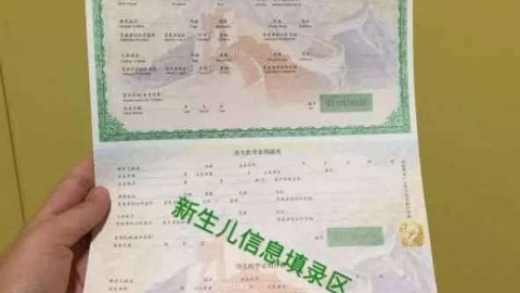 出生证明办理须知_书信模板_表格/模板_实用文档