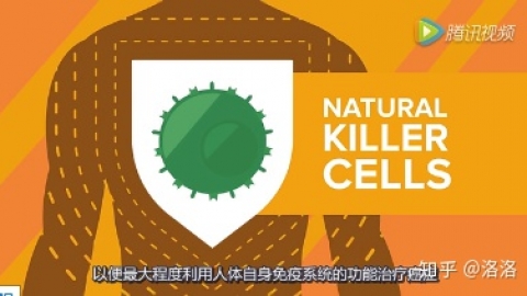 nk细胞 科普：盘点NK细胞的医疗前景